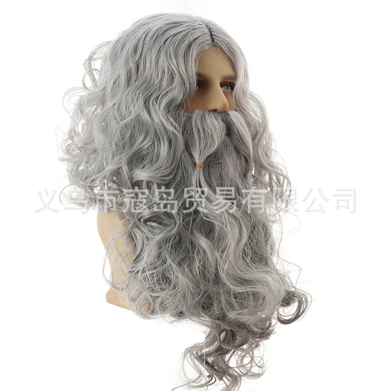 wizad silver grey wig and beard