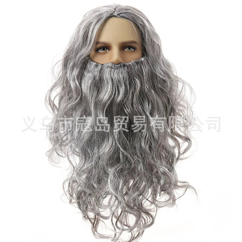 wizad silver grey wig and beard