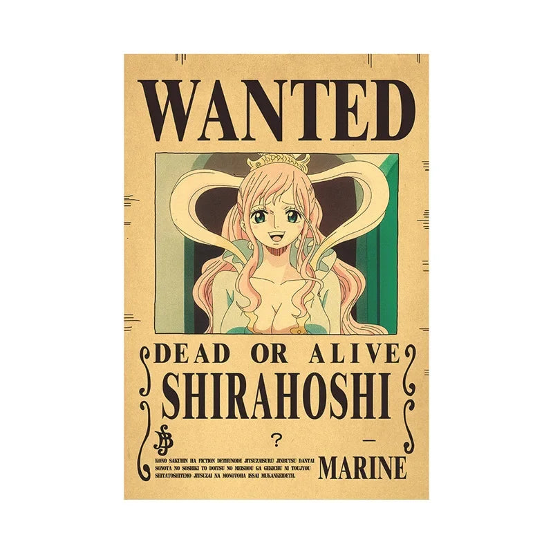 One Piece Anime Bounty Wanted Posters