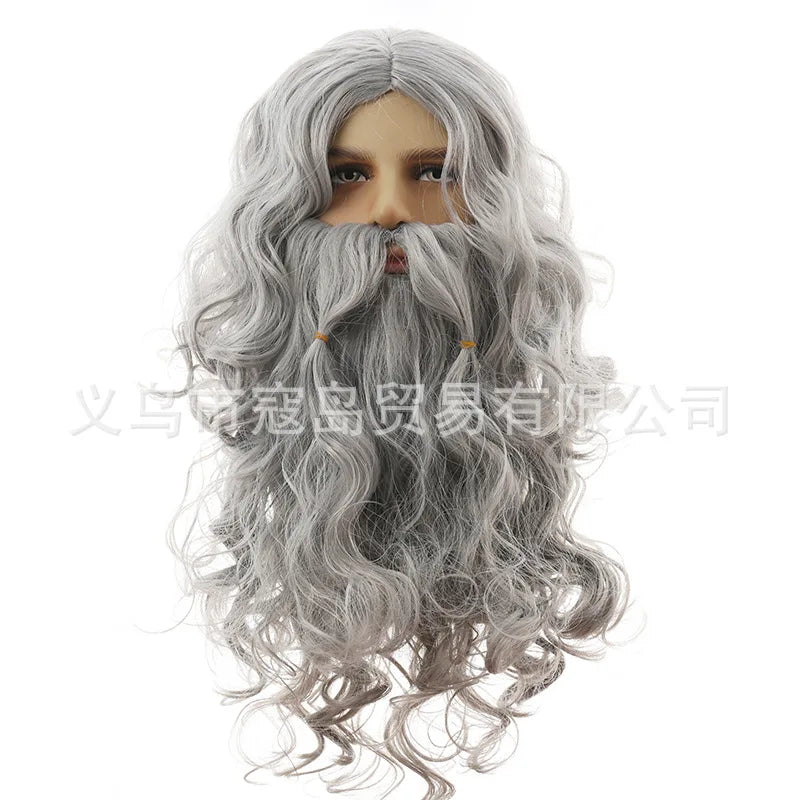 wizad silver grey wig and beard