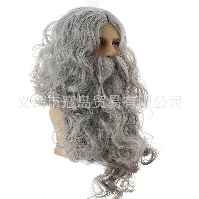 wizad silver grey wig and beard